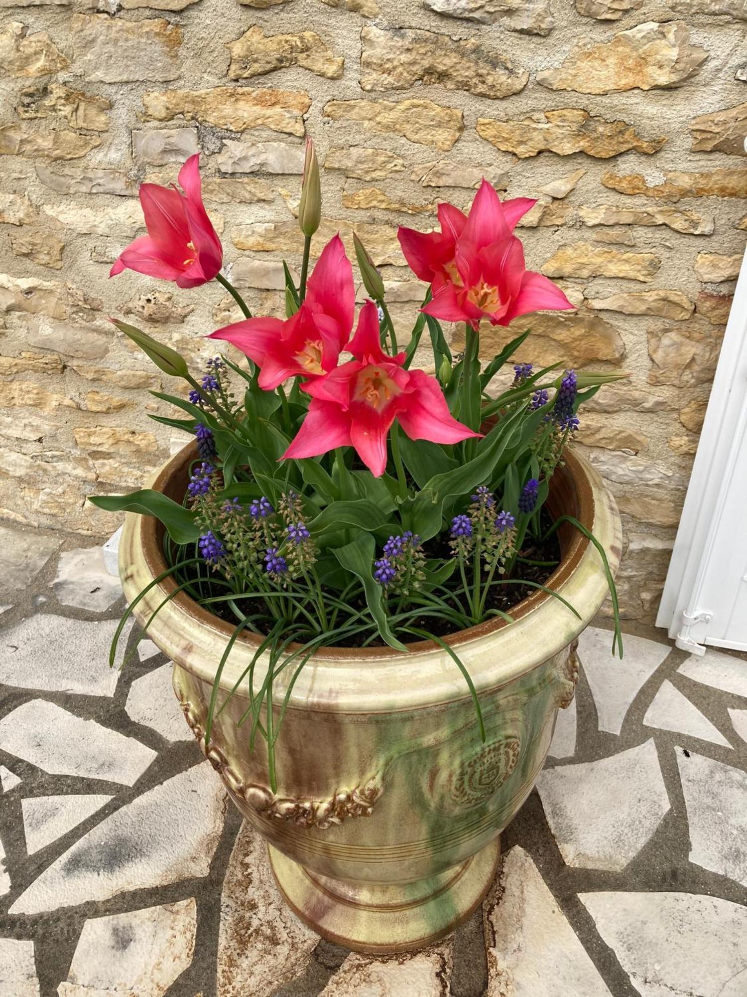 La Grange Bed and Breakfast Blanzay Εξωτερικό φωτογραφία